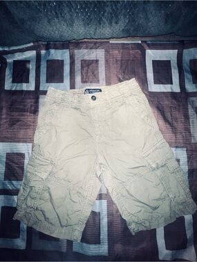 American Eagle Outfitters Men's Tan Cargo Shorts